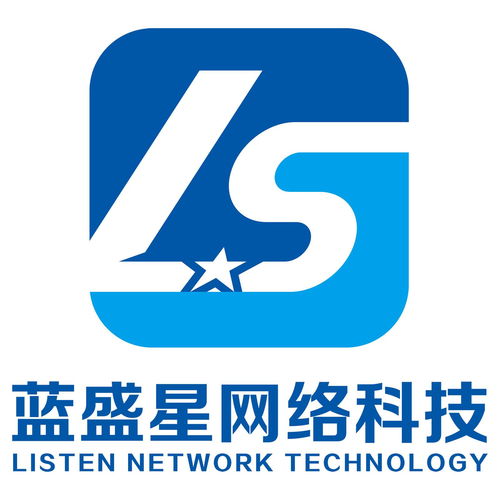 合肥藍盛星網(wǎng)絡(luò)科技 創(chuàng)新驅(qū)動，引領(lǐng)數(shù)字化未來