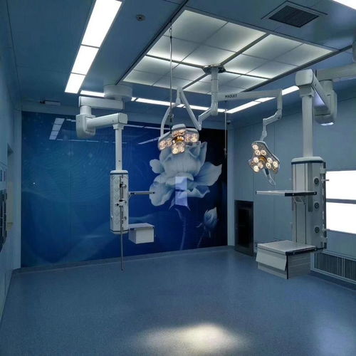 東湖區(qū)LG同質(zhì)透心地板優(yōu)芮系列 走量合作，共創(chuàng)雙贏